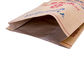 Pp Geweven Gelamineerde Kraftpapier-Document Plastic Document Zak voor Voedsel/Korrel/Chemische Industrie leverancier